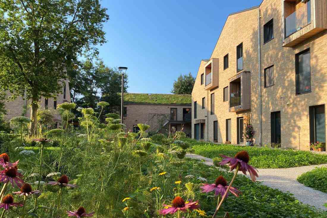 De foto toont Cohousing Eikenberg en klikt door naar het invulformulier cohousingbegeleiding, als een van de diensten van Gemeengoed. 